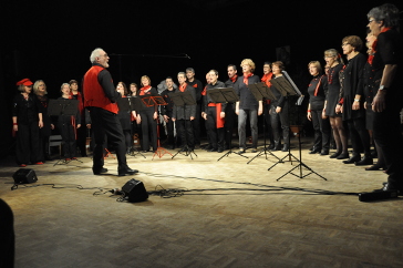 Diverses images du groupe vocal dans une rassemblement de chorales de Blois