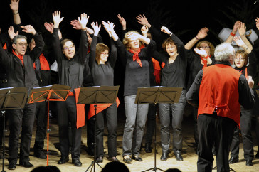 Diverses images du groupe vocal dans une rassemblement de chorales de Blois